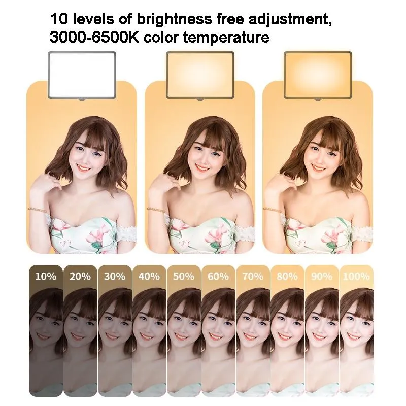 10 Three-Colour Temperature Flat-Panel Live Fill Light with 0.5m Bracket