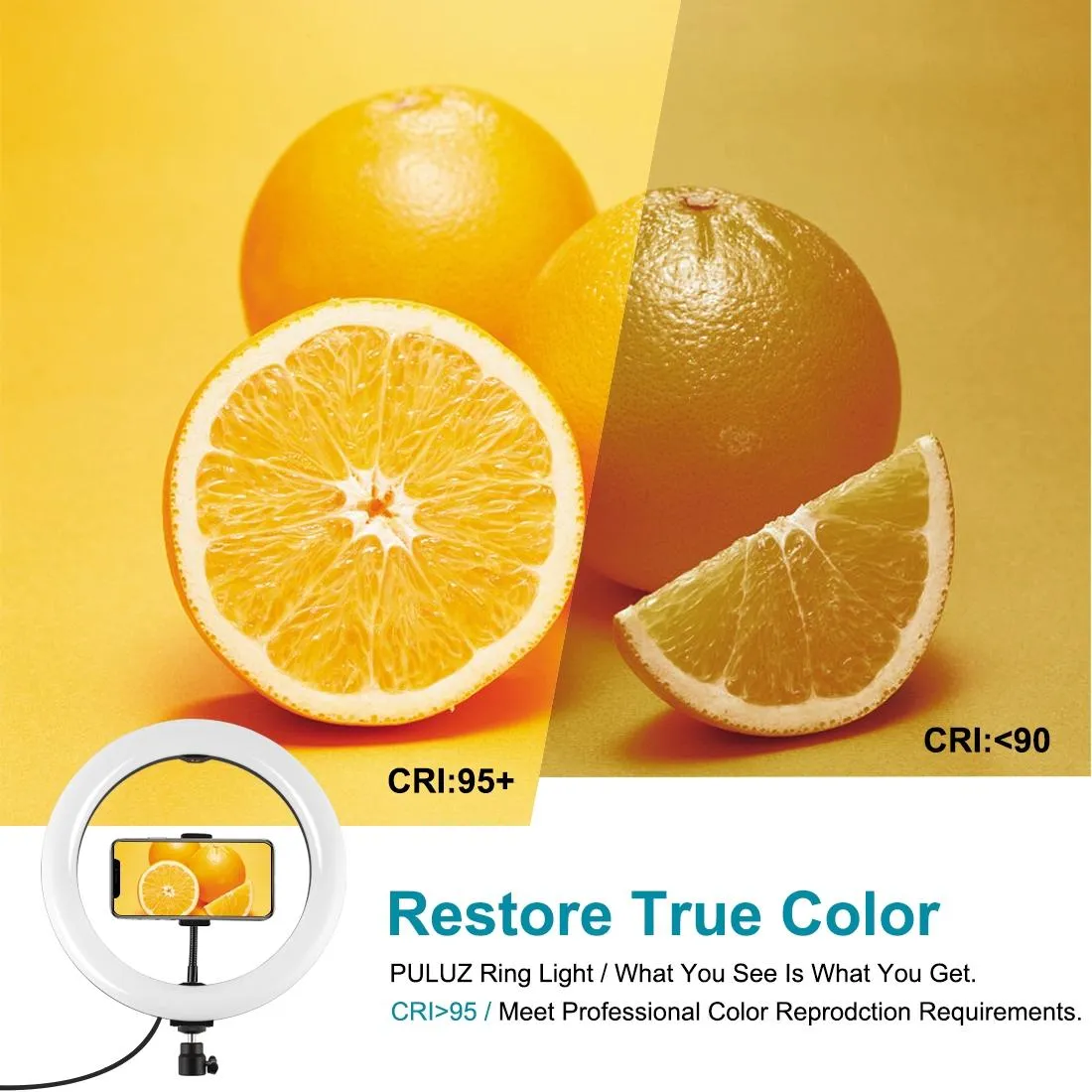 10.2" USB LED Ring Light with 10 Modes | Cold Shoe Tripod & Phone Clamp | Black