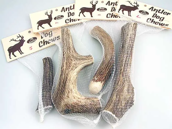 Antler Dog Chews