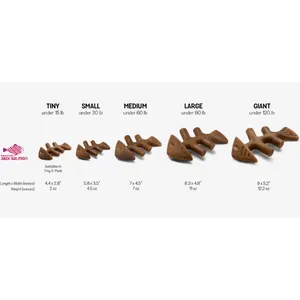 Benebone Fishbone Dog Chew Toy, Tiny, 2 count