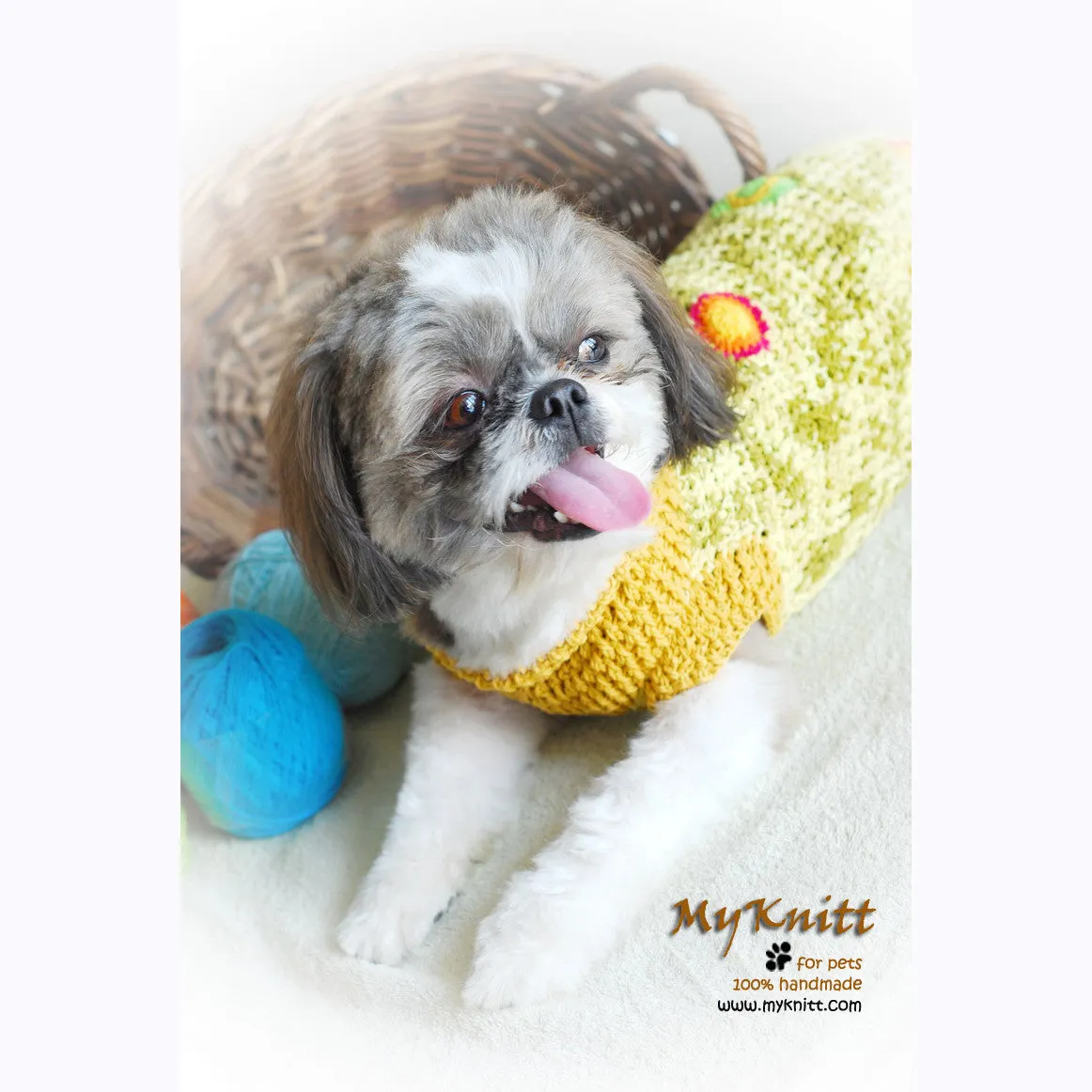 Boy Dog Sweater Turtleneck DK814