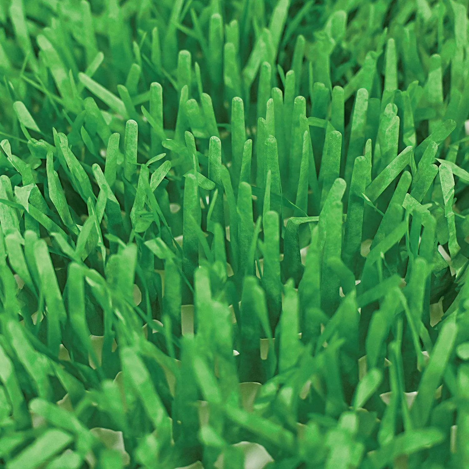 Easter Packaged Tissue Grass Mats (2 per Package)