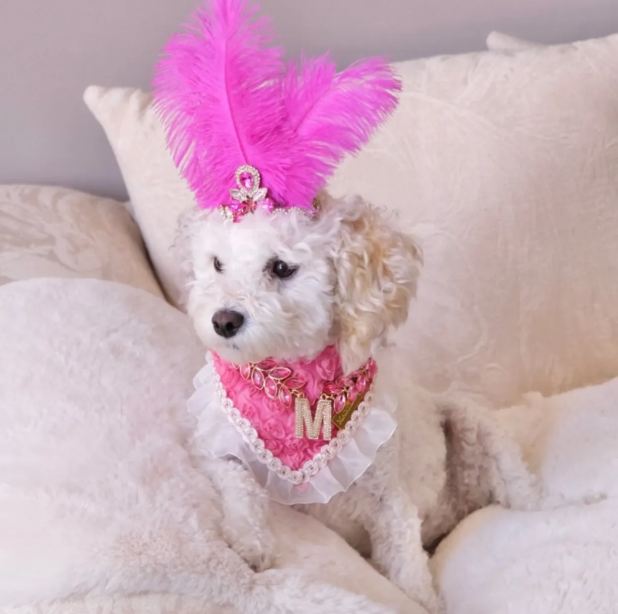 Forever Bliss Collection: Miss Bailey