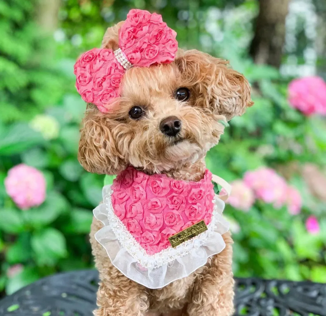 Forever Bliss Collection: Miss Bailey