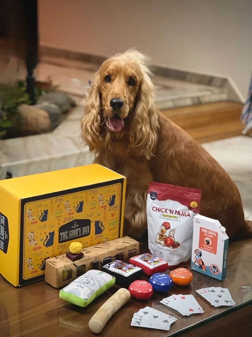 Goofy Tails Goofy Diwali Box for Dogs | Curated Gift Box for Dogs - Non Veg