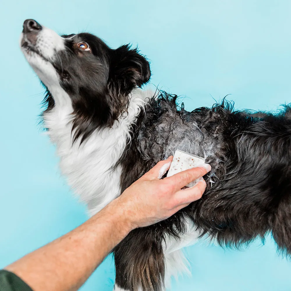 Pooch Pawfect Dog Care Duo
