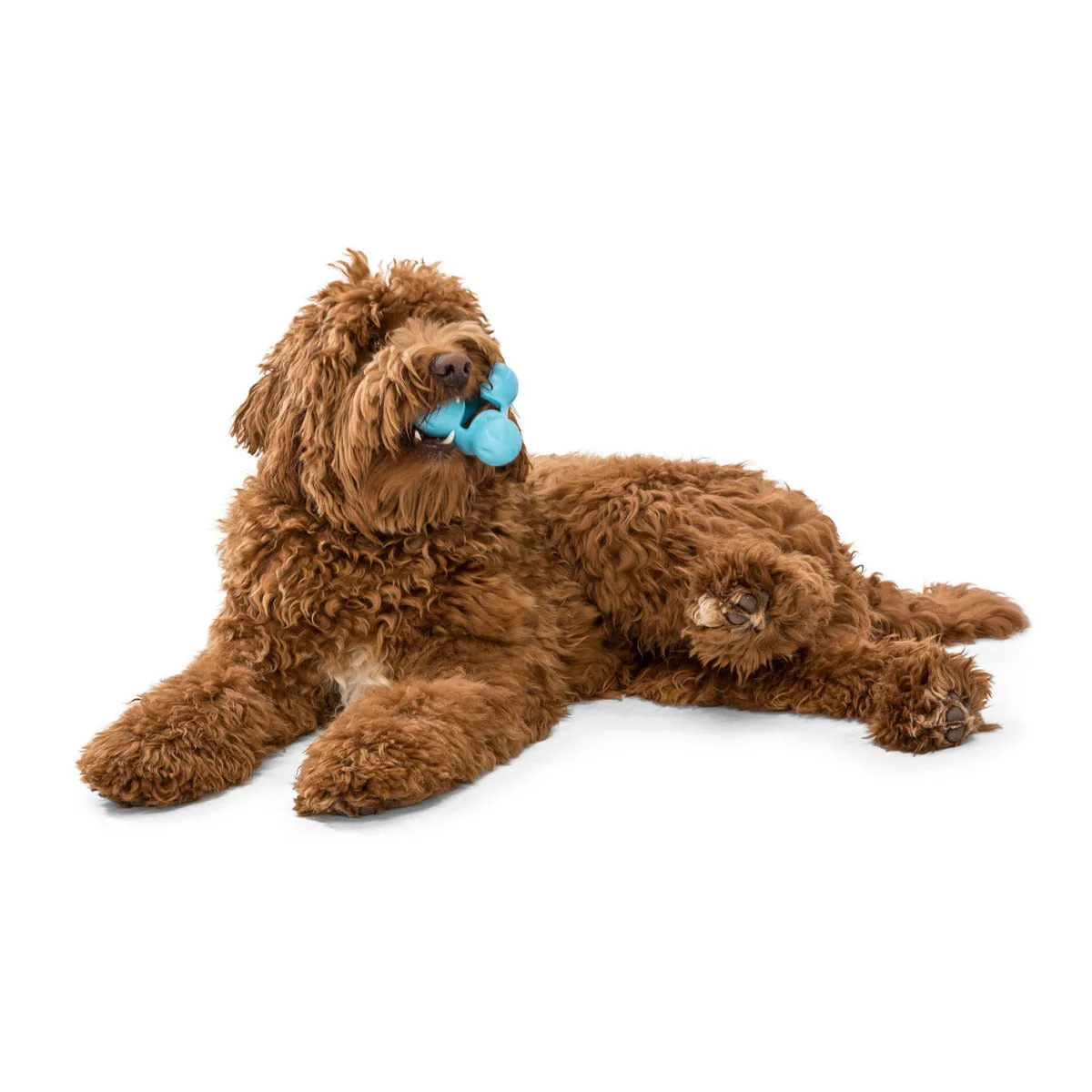 West Paw Zogoflex Tux